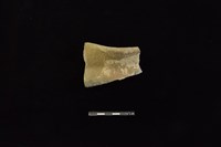 藏品(陶罐)的圖片